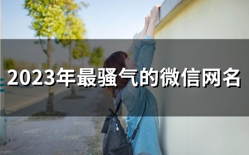 2023年最骚气的微信网名(精选297个) 2023年最骚气的微信网名(精选297个)