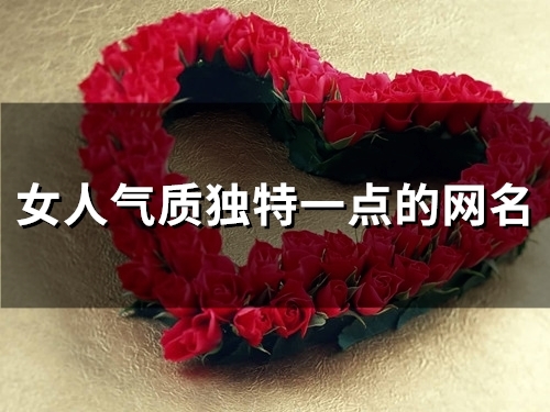 女人气质独特一点的网名(622个) 女人气质独特一点的网名(622个)