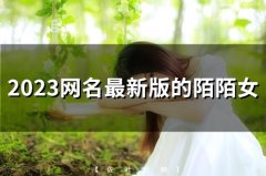 2023网名最新版的陌陌女(240个)