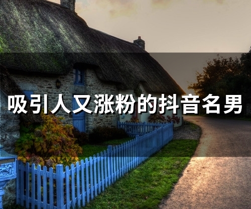 吸引人又涨粉的抖音名男(129个) 吸引人又涨粉的抖音名男(129个)