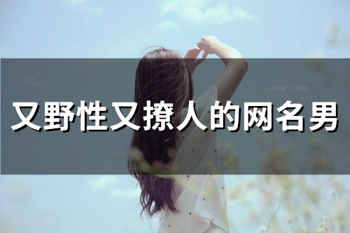 又野性又撩人的网名男(精选93个)