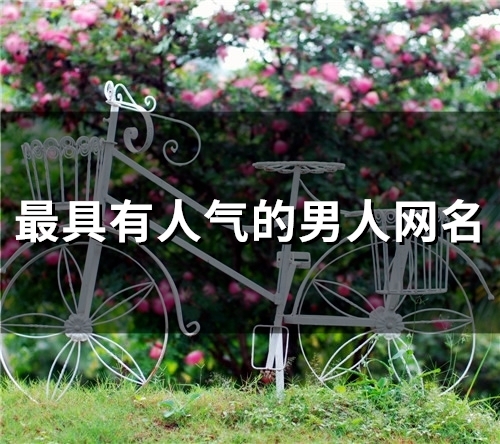 最具有人气的男人网名(190个)