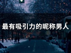 最有吸引力的昵称男人(精选491个)