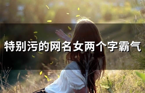 特别污的网名女两个字霸气(精选80个)