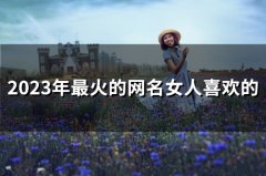 2023年最火的网名女人喜欢的(精选224个)