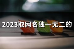 2023取网名独一无二的(精选108个)