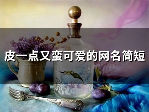 皮一点又蛮可爱的网名简短(195个) 皮一点又蛮可爱的网名简短(195个)