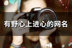 有野心上进心的网名(精选117个)