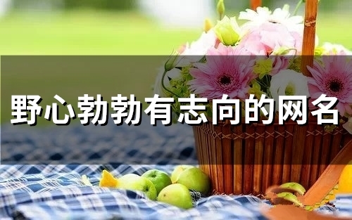 野心勃勃有志向的网名(92个)