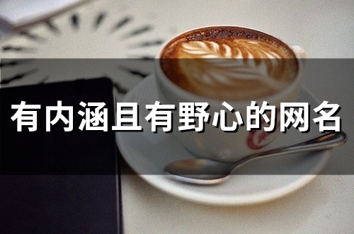 有内涵且有野心的网名(精选290个)