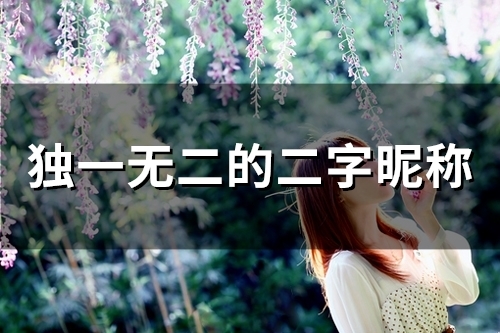 独一无二的二字昵称(80个) 独一无二的二字昵称(80个)