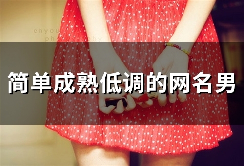 简单成熟低调的网名男(275个) 简单成熟低调的网名男(275个)