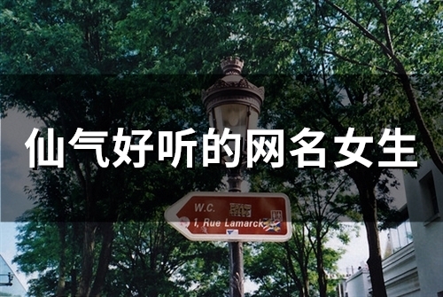 仙气好听的网名女生(精选118个)