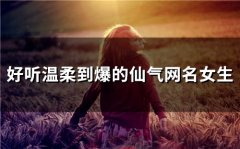 好听温柔到爆的仙气网名女生(216个)