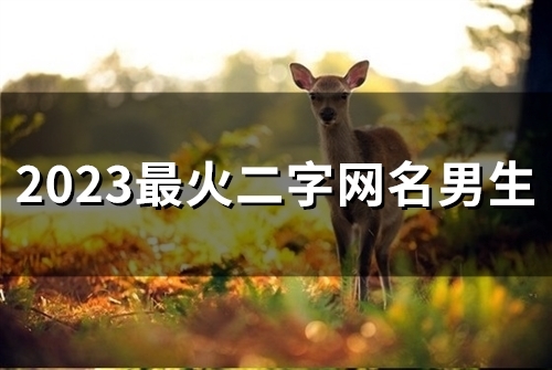2023最火二字网名男生(精选80个) 2023最火二字网名男生(精选80个)