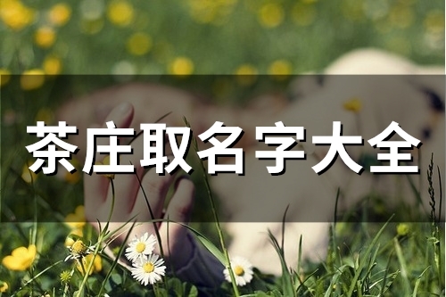 茶庄取名字大全(精选137个)