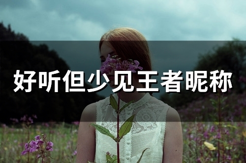 好听但少见王者昵称(精选392个)