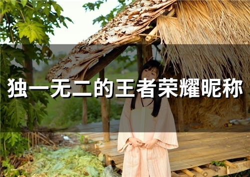 独一无二的王者荣耀昵称(精选606个)