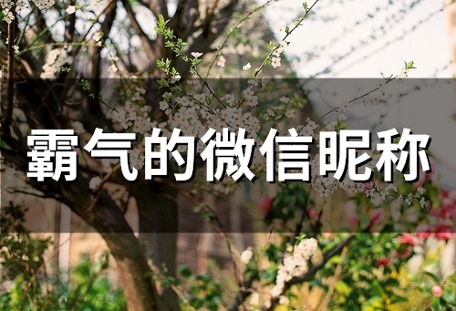 霸气的微信昵称(113个)