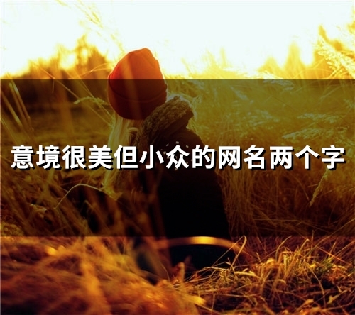 意境很美但小众的网名两个字(精选80个) 意境很美但小众的网名两个字(精选80个)