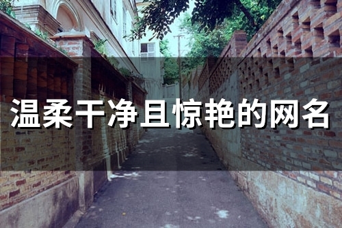 温柔干净且惊艳的网名(精选71个)