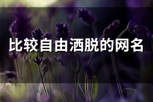 比较自由洒脱的网名(80个)