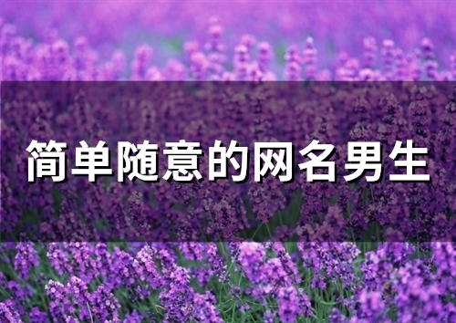 简单随意的网名男生(544个)
