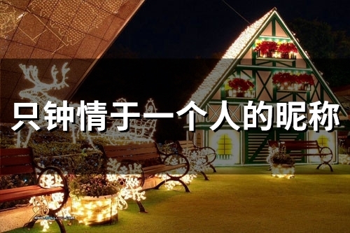 只钟情于一个人的昵称(精选80个) 只钟情于一个人的昵称(精选80个)