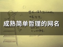 成熟简单哲理的网名(精选153个)