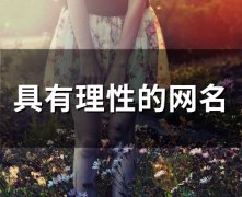 具有理性的网名(80个)