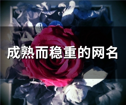 成熟而稳重的网名(精选262个)