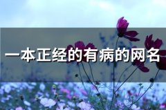 一本正经的有病的网名(80个)