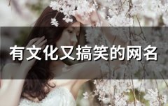 有文化又搞笑的网名(80个)