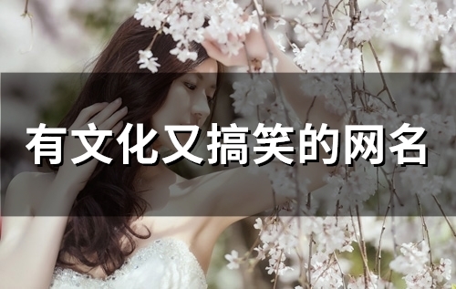 有文化又搞笑的网名(80个)