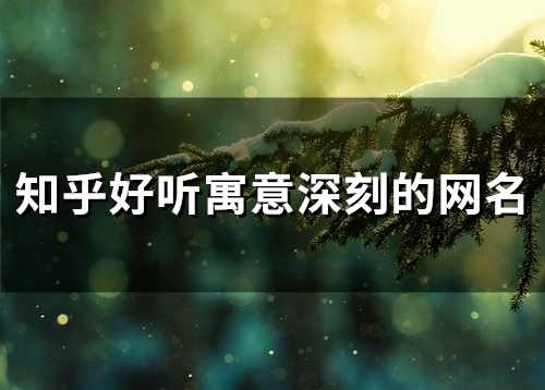 知乎好听寓意深刻的网名(精选78个)