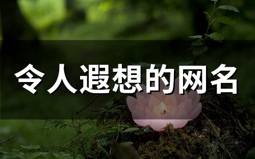 令人遐想的网名(精选80个)
