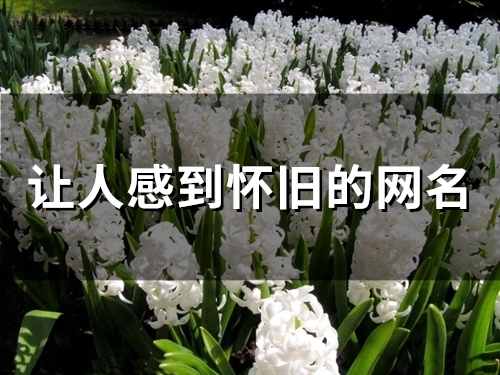 让人感到怀旧的网名(79个)