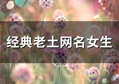 经典老土网名女生(精选44个)