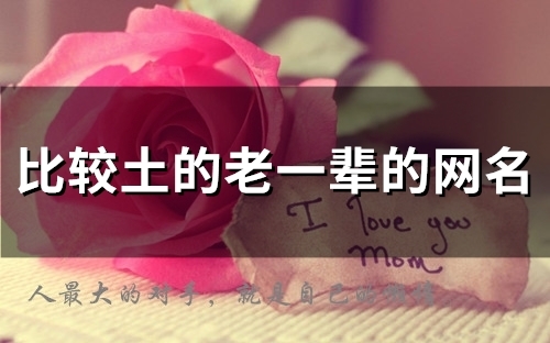 比较土的老一辈的网名(80个)