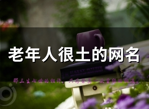 老年人很土的网名(精选80个)