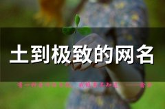 土到极致的网名(80个)