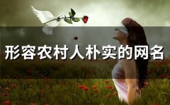 形容农村人朴实的网名(精选80个)