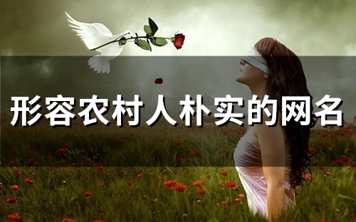 形容农村人朴实的网名(精选80个)