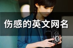 伤感的英文网名(107个)