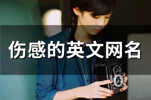 伤感的英文网名(107个) 伤感的英文网名(107个)