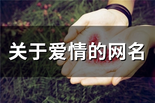 关于爱情的网名(97个)