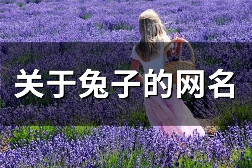 关于兔子的网名(64个)