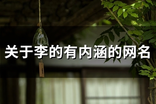 关于李的有内涵的网名(45个)