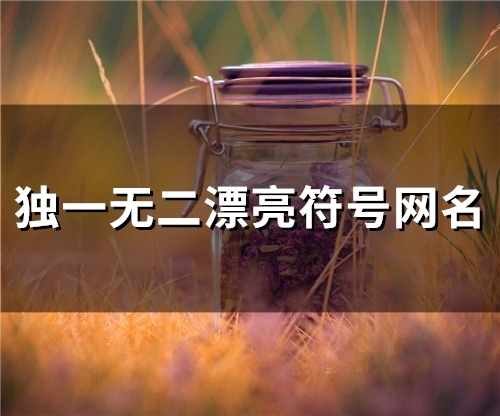 独一无二漂亮符号网名(精选92个)