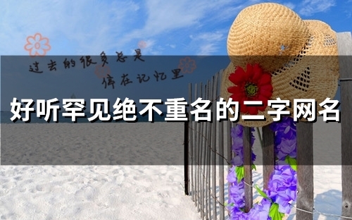 好听罕见绝不重名的二字网名(83个)